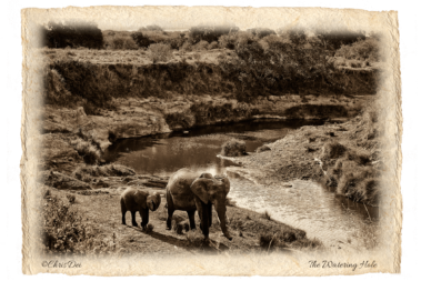 elephant, baby, tsavo, Africa, Tanzania, Kenya, Fine art photography, African Wildlife, Serengeti, Chris Dei Photography